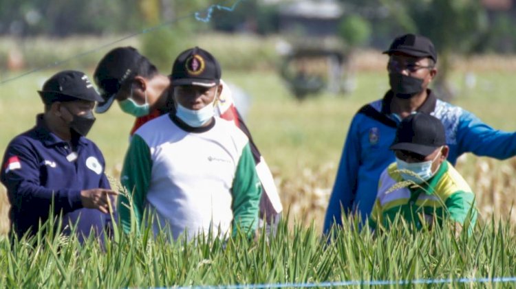 Bung Karna Beri Pupuk Gratis, Untuk Petani Situbondo