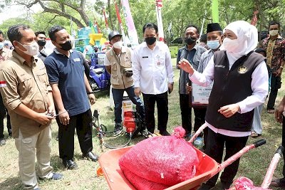 Capaian Perhutanan Sosial Jatim Paling Tinggi di Pulau Jawa