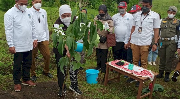 Hijaukan Njulung Agro Edu Tourism, Gubernur Khofifah Beri Pesan untuk Cintai Lingkungan