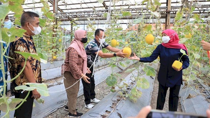 Kunjungi UPT PATPH Jatim, Gubernur Khofifah Terus Dorong Tingkatkan Inovasi