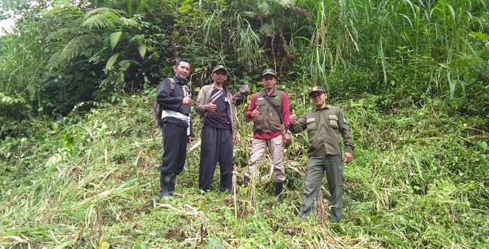 Perum Perhutani  RPH Karangrejo dan warga Reboisasi di Lereng Wilis