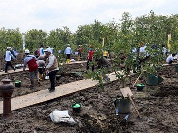 Peringati Hari Air Sedunia, Jatim Tanam Pohon Massal dan Tebar Bibit Ikan di Bendungan Semantok