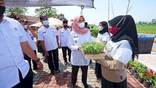 Banyuwangi Kembali Bikin Jagoan Tani, Anak Muda Dimodali Ratusan Juta Bisnis Pertanian