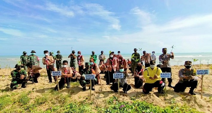 Cegah Abrasi di Pantai Bancar Tuban,  Tanami  1.000 Pohon Mangrove