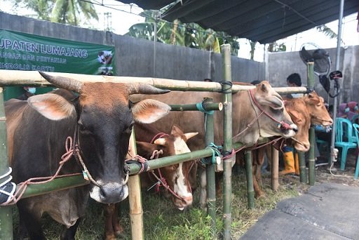 PMK Gejala Ringan Boleh Dijadikan Korban