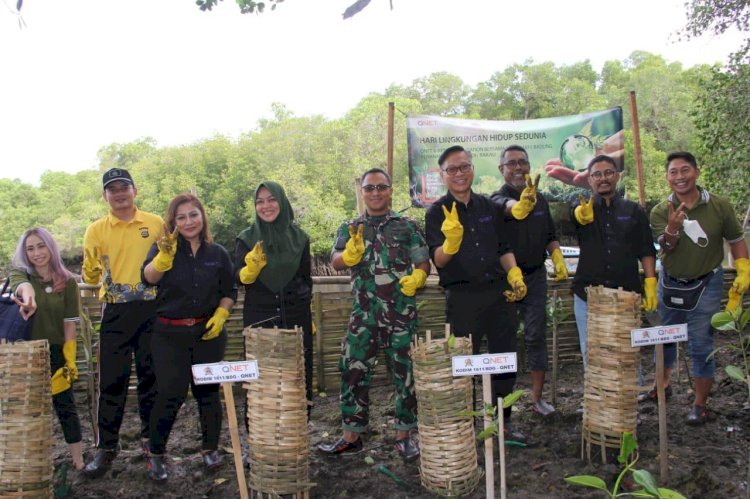 Tak Hanya Berbisnis, Qnet Tanam 2000 Bibit Bakau di Badung