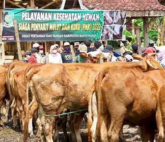 Banyuwangi Bakal Keluarkan Sertifikat Hewan