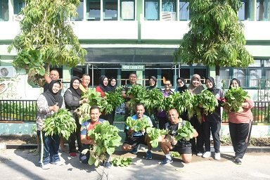 Prajurit dan PNS Korem 084/Bhaskara Jaya Panen Sayuran Hasil Budidaya Dengan System Akuaponik Dan Organik