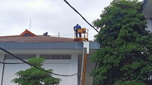 Kantor Bupati Banyuwangi Dikejutkan Adanya Monyet Besar