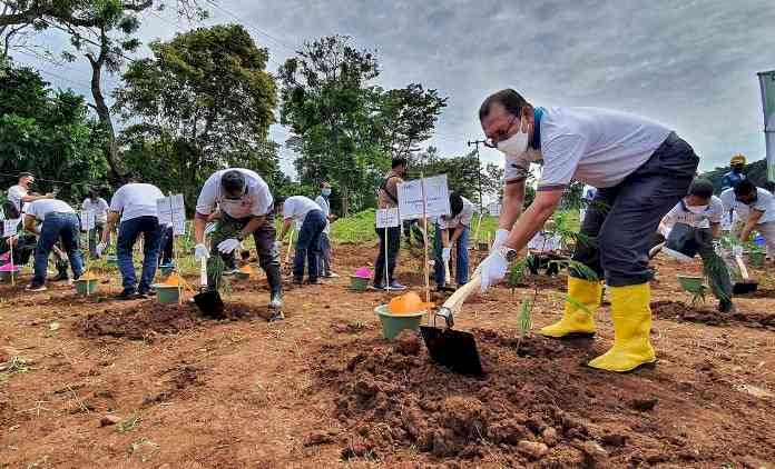 Co-Firing PJB, Pionir Energi Hijau yang Tak Bisa Bekerja Sendiri