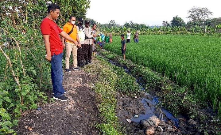 Mayat Mr X Sumbat Saluran Irigasi Sawah