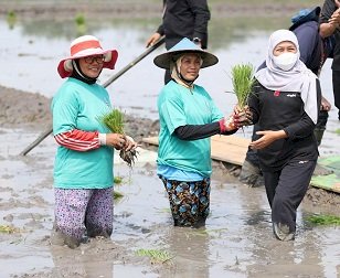 NTP Petani Jatim Mengalami Kenaikan, Khofifah Harap Kesejahteraan Petani Dapat Terus Meningkat