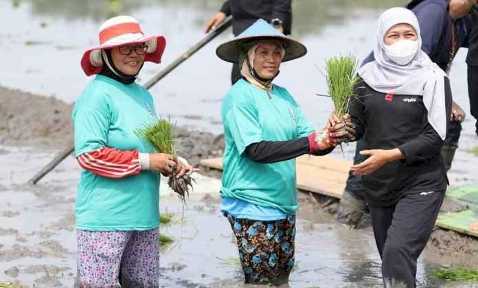 NTP Petani Jatim Mengalami Kenaikan, Khofifah Harap Kesejahteraan Petani Terus Meningkat