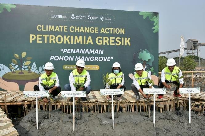 Petrokimia Gresik Tanam Puluhan Ribu Mangrove