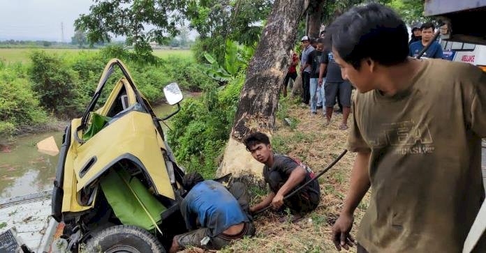 Gagal Nyalip, Truk Boks Tabrak Pohon, Sopir Tewas di Tempat Kejadian