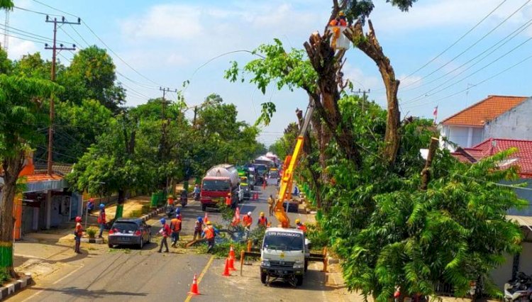 Hadapi Cuaca Ekstrem, Ini Imbauan PLN