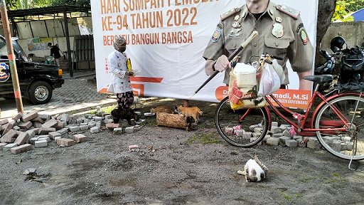 Pencari Barang Bekas Ini, Beri Makan Puluhan Kucing Liar