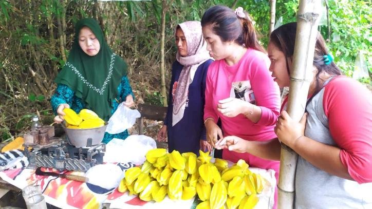 Wisata Petik Buah Blimbing Madu Kini ada di Jombang