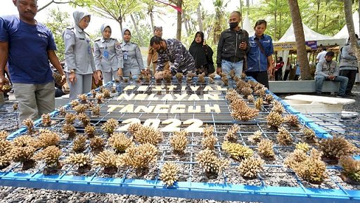 Angkat Sektor Perikanan, Banyuwangi Gelar Festival Nelayan Tangguh