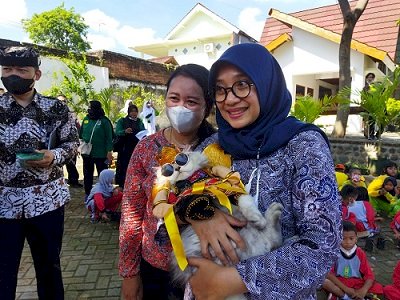 Puluhan Kucing Ikuti Fashion Show dalam Gocat