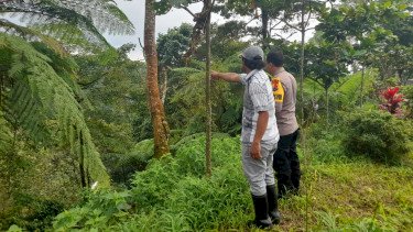 BKSDA Jatim Terjunkan Tim Lacak Temuan Macan Tutul di Telunjuk Raung