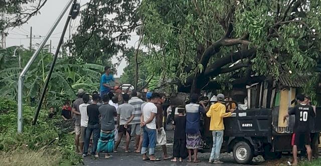 Puting Beliung Terjang Sidayu dan Ujungpangkah, Pohon, PJU, dan Tiang Listrik Roboh