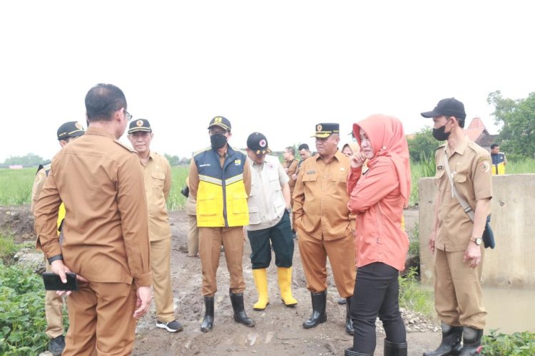 Sawah Terendam, Pemkab Mojokerto Kerahkan Alat Berat