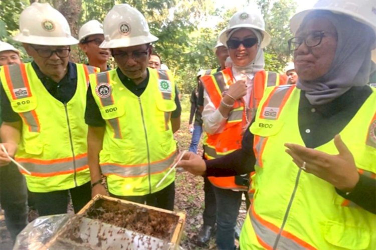 Lahan Pascatambang Semen Baturaja Jadi Budi Daya Lebah Trigona