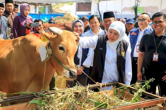 Tinjau RPH Halal Pegirian, Khofifah Imbau Penyembelihan Hewan Kurban Terapkan Prinsip Animal Welfare