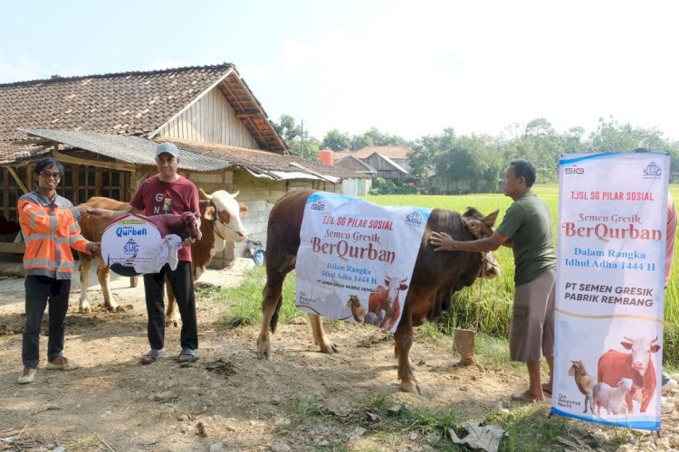 Idul Adha, SIG Salurkan 489 Hewan Kurban di 20 Provinsi