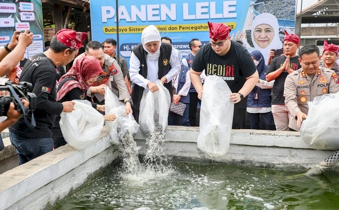 Dorong Peningkatan Budidaya Lele, Khofifah: Peluang Pasarnya Besar dan Bermanfaat Cegah Stunting