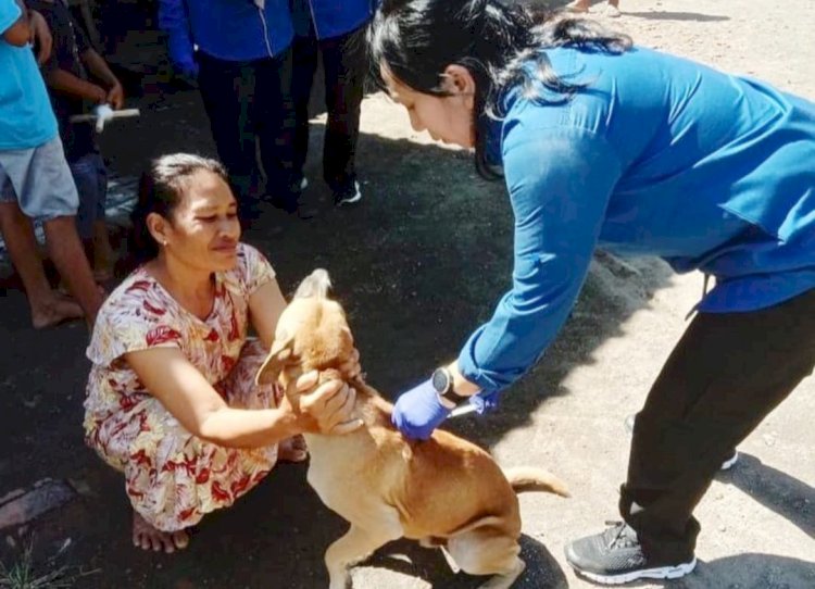 Banyuwangi Vaksin Anjing-Kucing di Wilayah Pinggiran