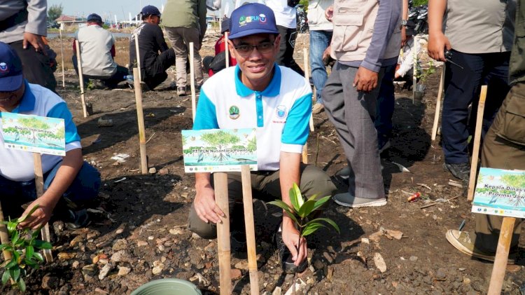 Cegah Abrasi, PLN NP Tanam 100 Ribu Mangrove