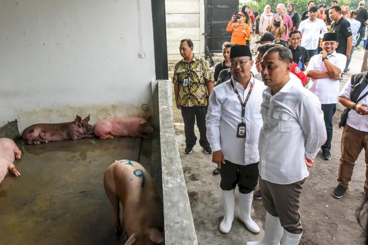 Pemkot Surabaya Berencana Bangun Rumah Potong Unggas