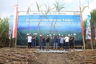 PTPN I Regional 4 Optimis Protas Sentuh Angka 100 Ton/Ha