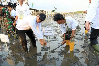 Pemkot Gelar Pameran Olahan Mangrove dan Tanam Mangrove