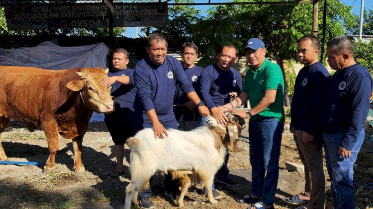 BPBD Jatim Sembelih 4 Ekor Sapi dan 7 Kambing