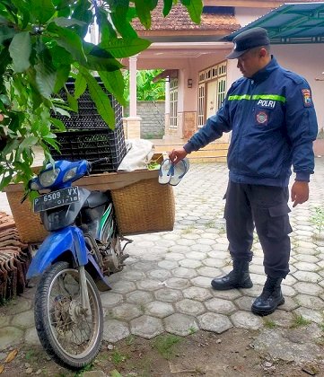 Hendak Kabur ke Bali, Aksi Maling Buah Naga di Tegaldlimo Banyuwangi Diamankan