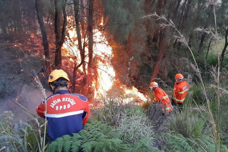 Kawasan Bromo Terbakar Lagi, TRC BPBD Jatim Padamkan Api