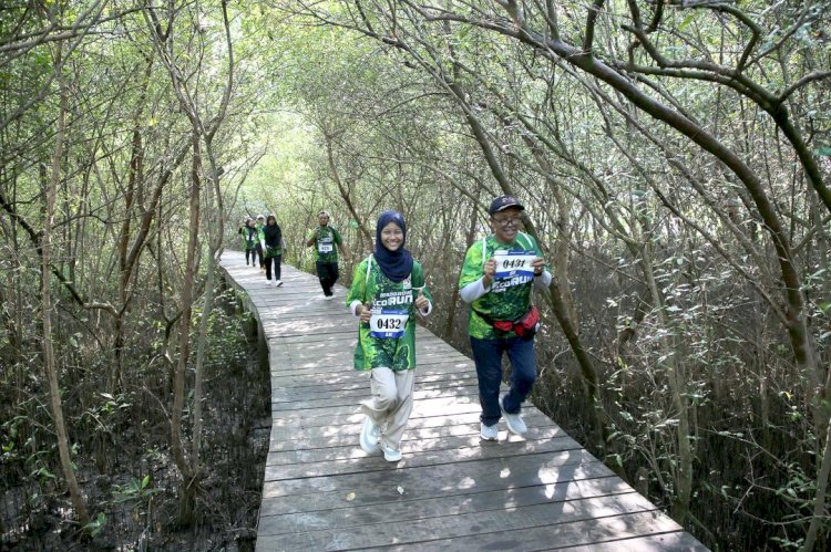 Seribu Pelari Ikuti Mangrove Eco Run 2024