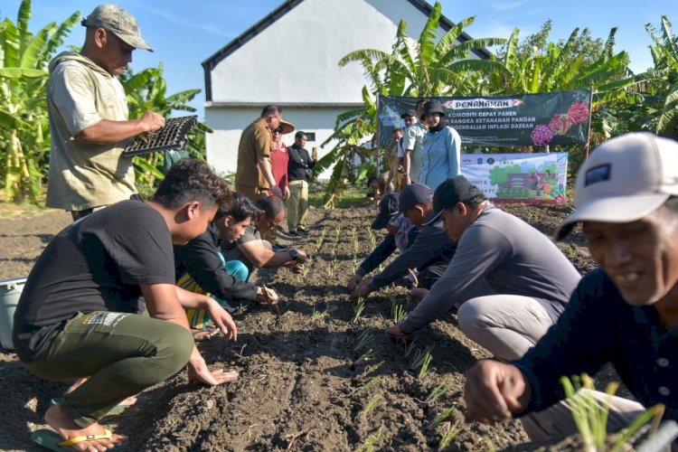 60 Poktan Urban Farming Tanam Cabai dan Bawang Serentak