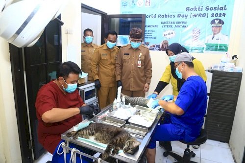 Peringati Hari Rabies Dunia, Pemkab Tawarkan Vaksin Gratis ke Pecinta Kucing