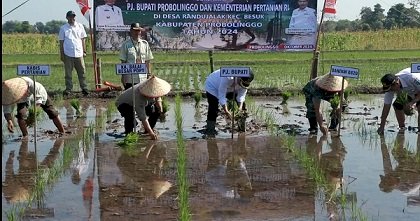 Pemkab dan Kementan RI Lakukan Gerakan Tanam Padi Pakai Pompanisasi