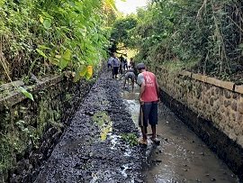 Program Padat Karya Banyuwangi Jangkau Ribuan Warga Pra Sejahtera