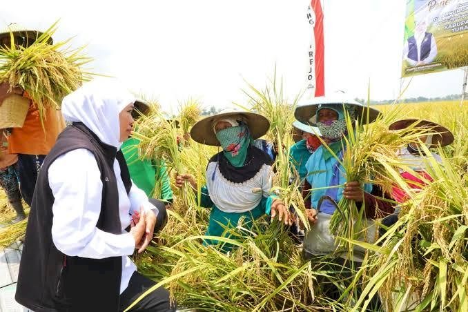 Hari Pangan Sedunia, Wujudkan Kedaulatan Pangan