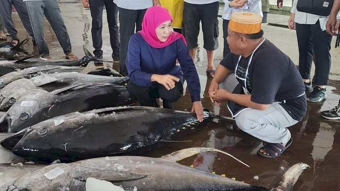 Siap Kembangkan Keunggulan Tuna Sirip Kuning Andalan TPI Sendang Biru,  Khofifah  Bakal Koneksikan dengan Industri