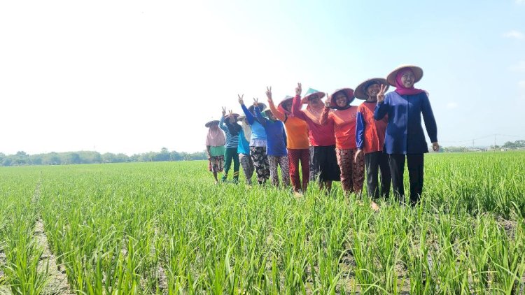 Momen Khofifah Matun di Sawah dan Makan Bersama Petani Ngawi