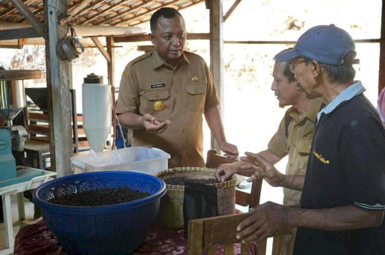 Pemkab Kediri Minta Petani Lereng Gunung Wilis Hasilkan Komoditas Kopi Berkualitas