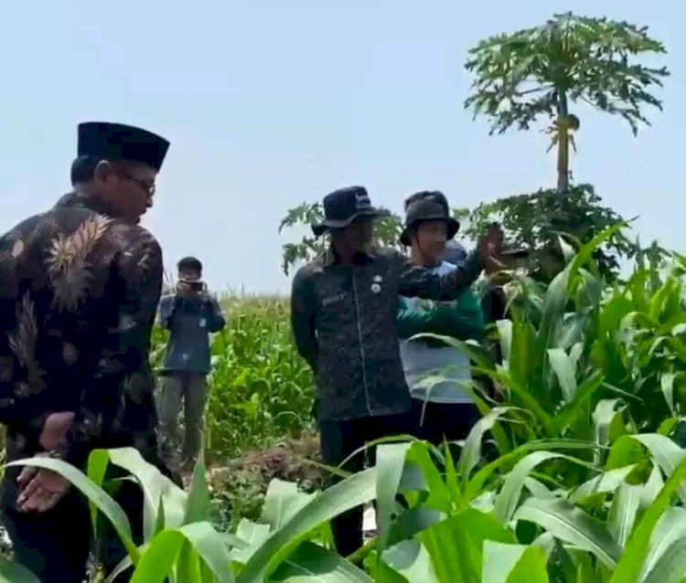 Pemkab Gelar Sekolah Lapangan Bagi 100 Petani