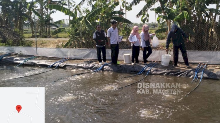 Bersama DKP Jatim, Penyuluh Perikanan Pantau Hama Penyakit Ikan di Wilayah Magetan